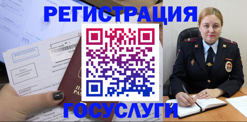 форма 3 в Новгородской области